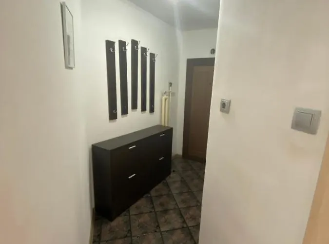 With Lovely Terrace & Free Street Parking דירה *